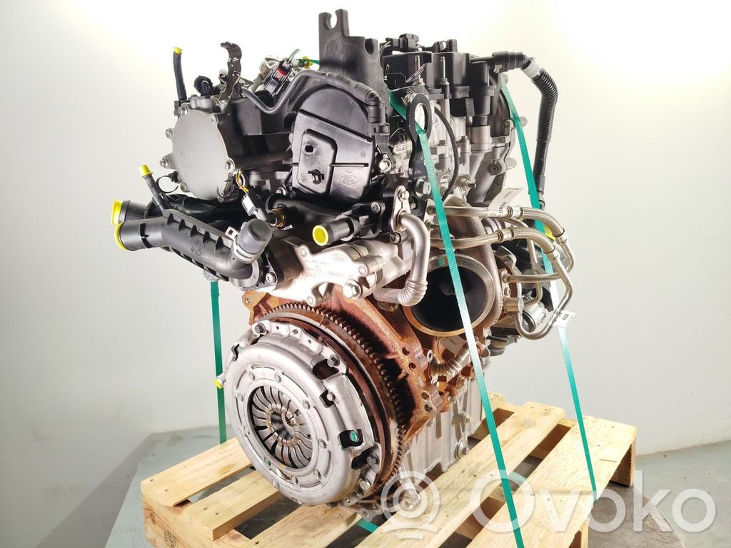 Ford Tourneo Motor 