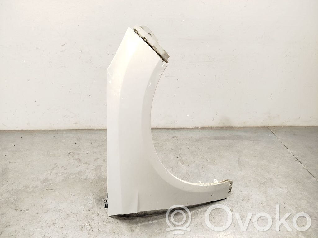 Ford Focus ST Fender 