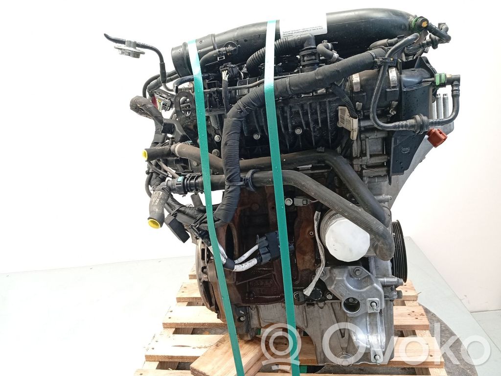 Motor   SFJB