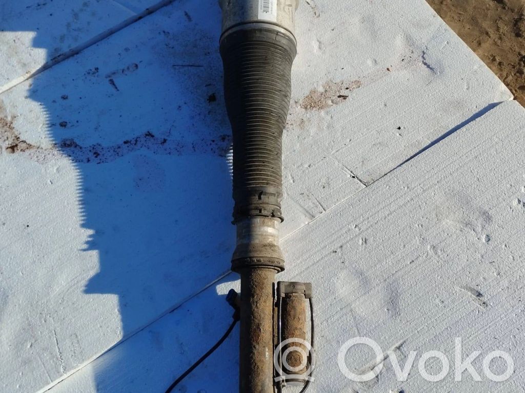 Amortyzator zawieszenie pneumatycznego osi tylnej   C086106
