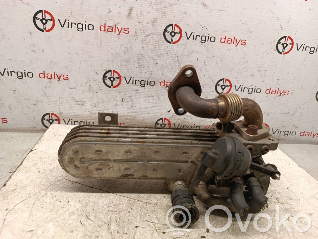 Volkswagen PASSAT B6 Valvola di raffreddamento EGR 
