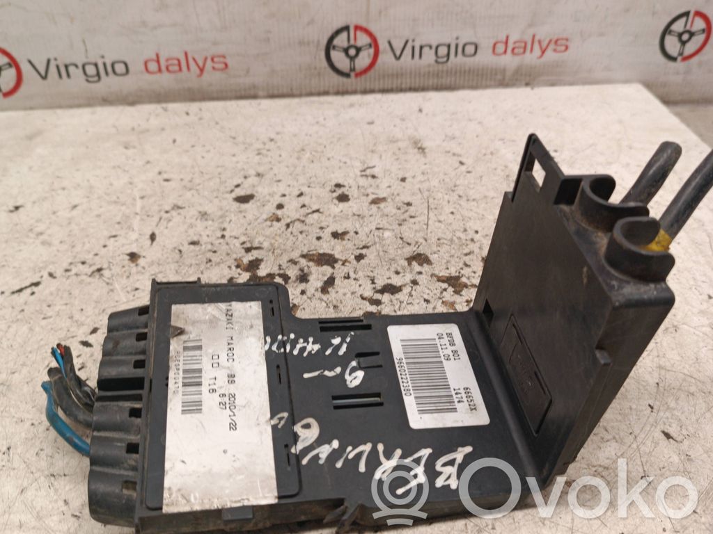 Citroen Berlingo Positive wiring loom 