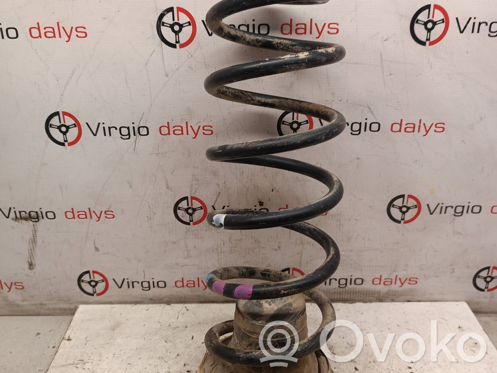 Rear coil spring
