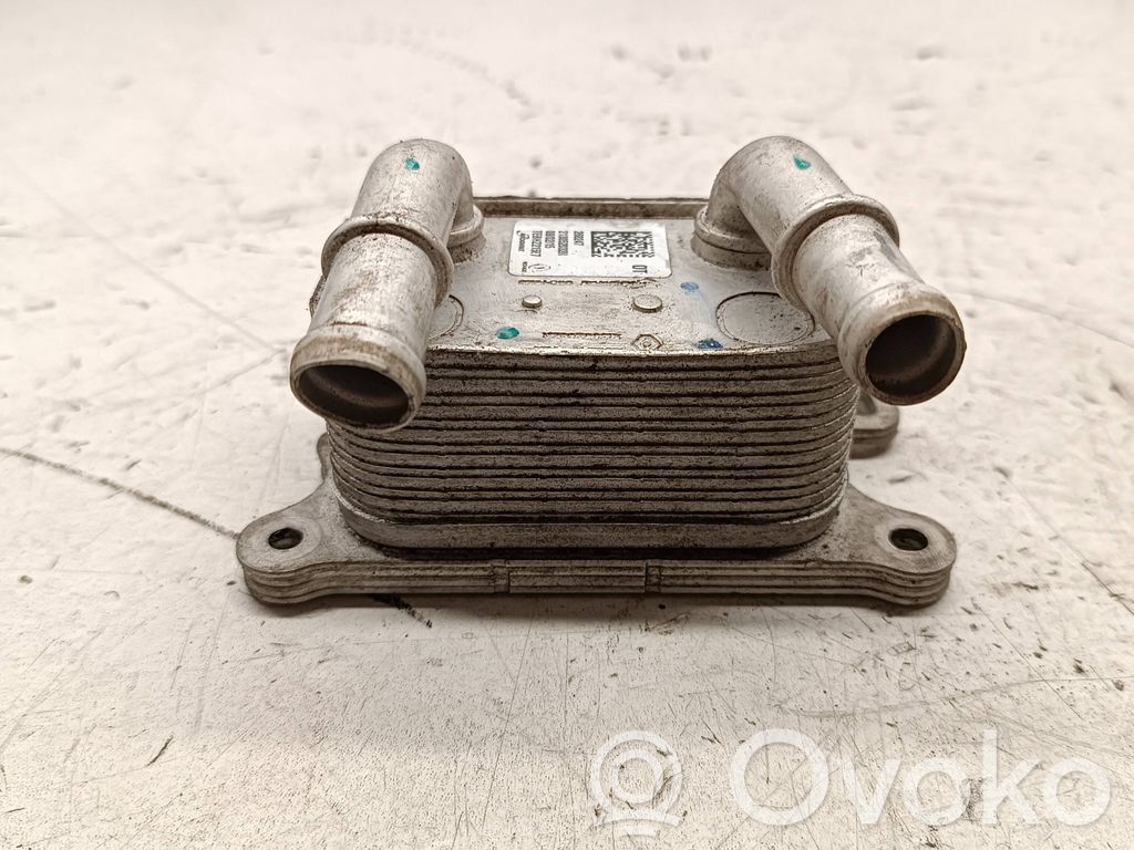 Engine oil radiator   268247,213052032R,080215,TEBHZ21587
