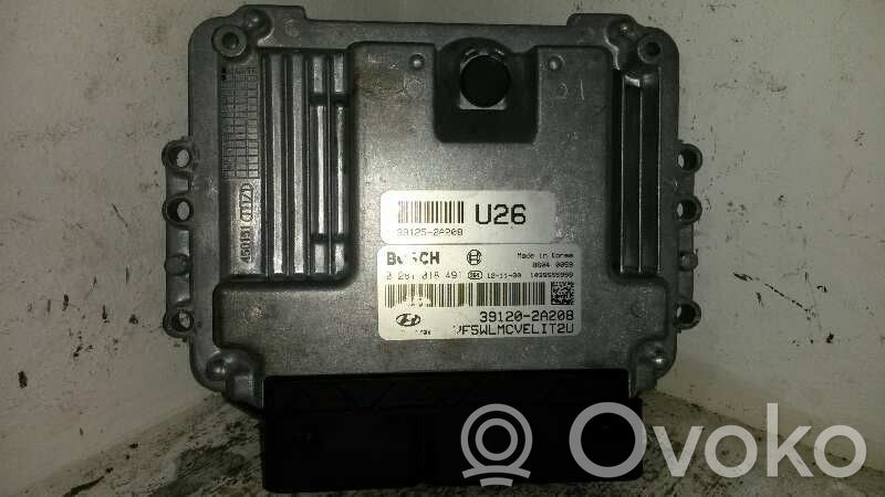 Engine control unit/module ECU   391202A208,0281018491