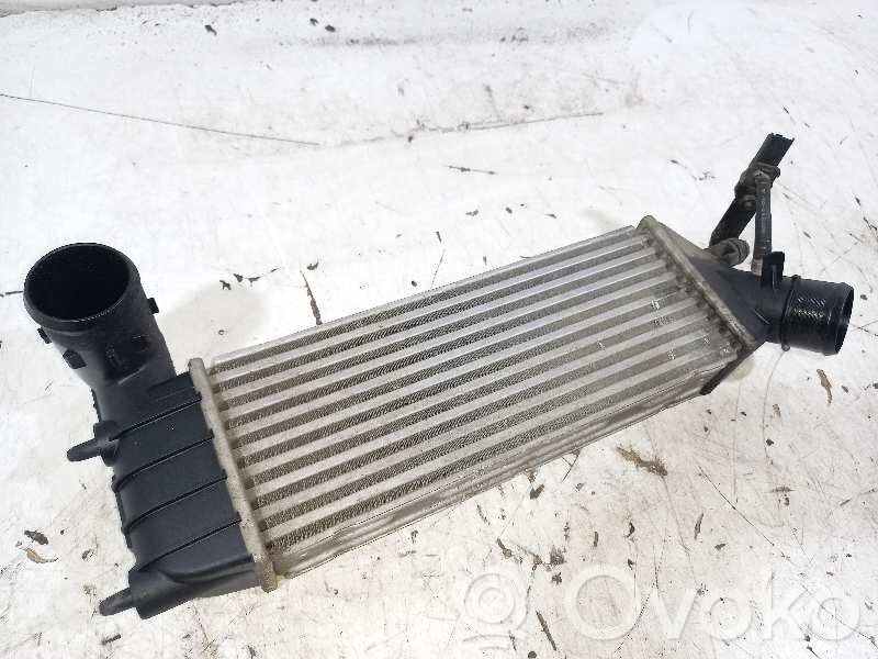 Interkūlerio radiatorius   1488386080,IA1076,870229H