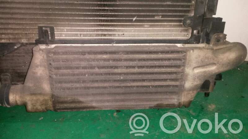 Intercooler radiator   93957004,24466787