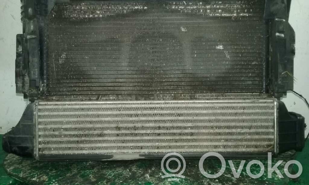 Intercooler radiator   17512246795