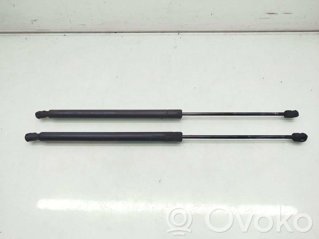 Tailgate/trunk strut/damper   6M21R406A10AD