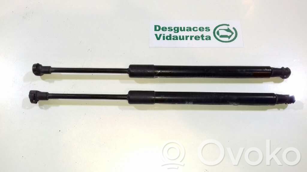 Tailgate/trunk strut/damper   51247166758