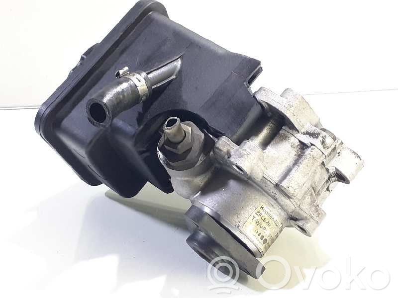 Power steering pump   7691900513,1095155,150164