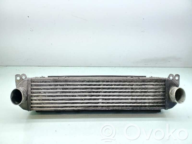 Land Rover Discovery 3 - LR3 Radiatore intercooler 