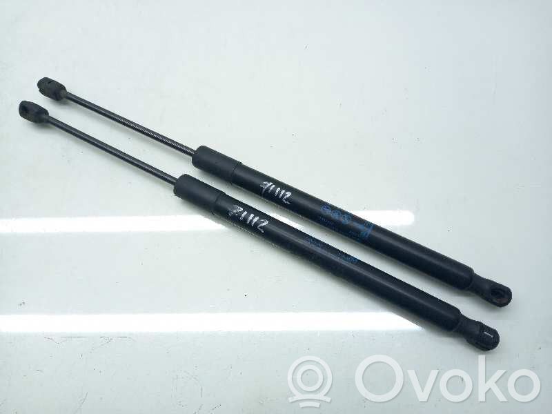 Opel Zafira B Ammortizzatore portellone posteriore/bagagliaio 