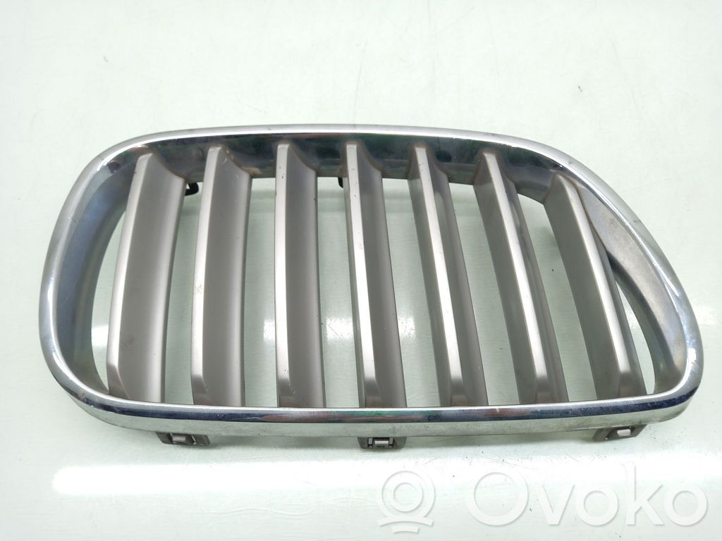 Front grill   51113420088,22405910