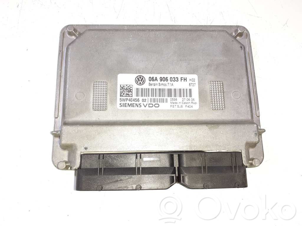 Engine control unit/module ECU   06A906033FH,5WP40456
