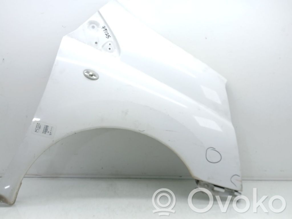 Citroen Jumpy Fender 
