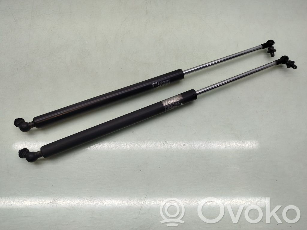 Tailgate/trunk strut/damper