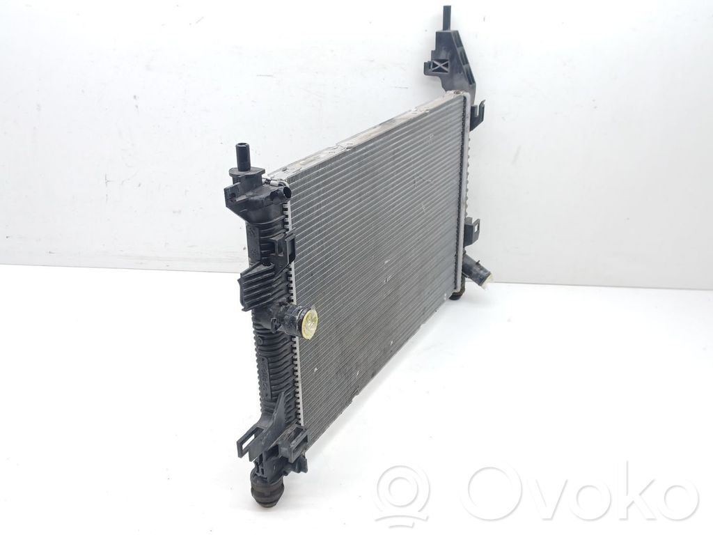 Coolant radiator   BV618C342BE,BV618005BB