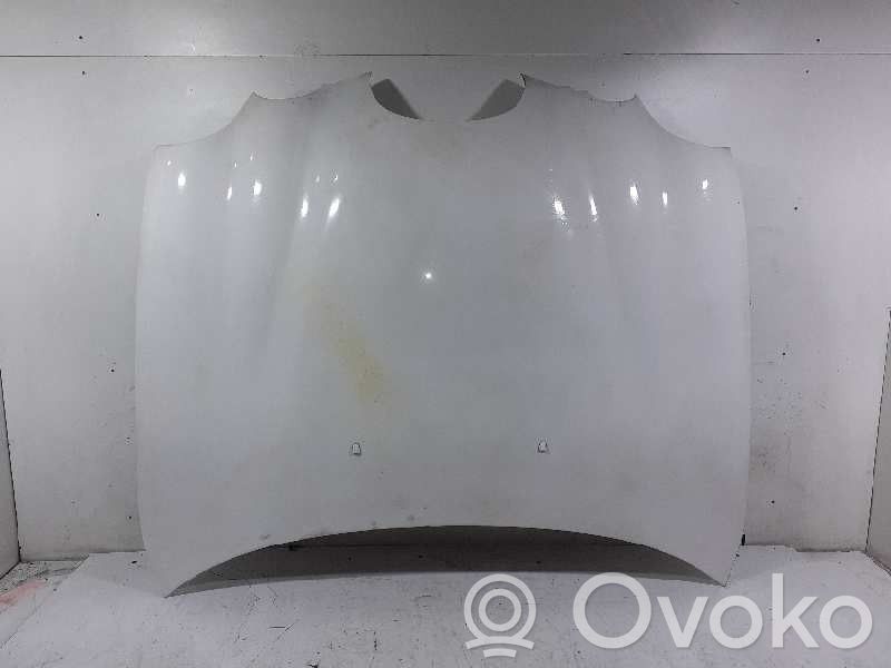 Motorhaube
