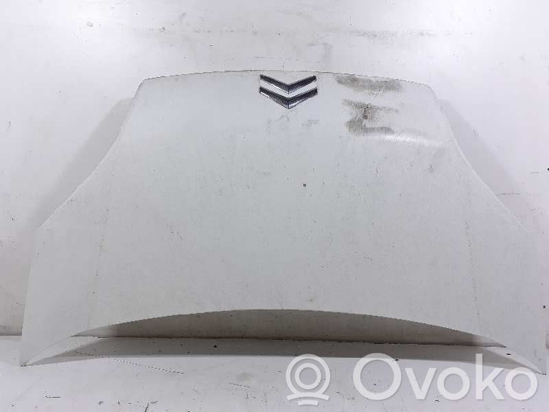 Konepelti   7901Q1