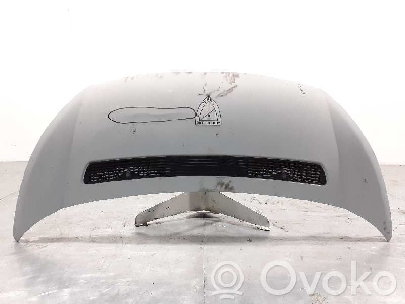 Capó/tapa del motor   1608371780