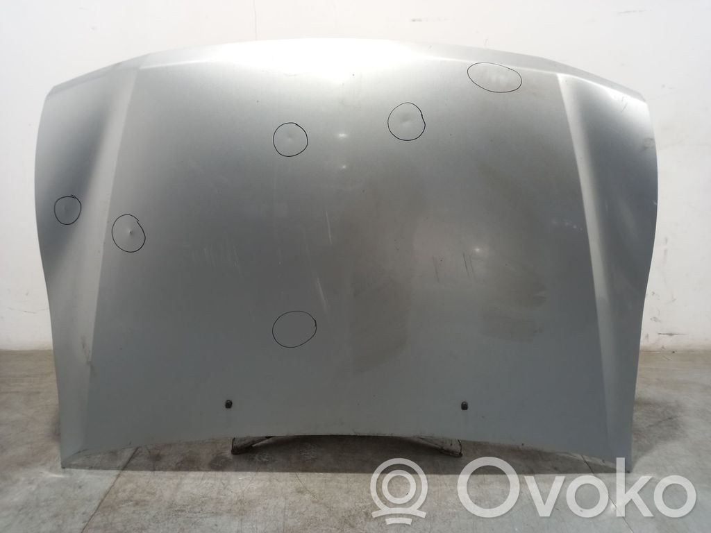 Mitsubishi Montero Motorhaube 