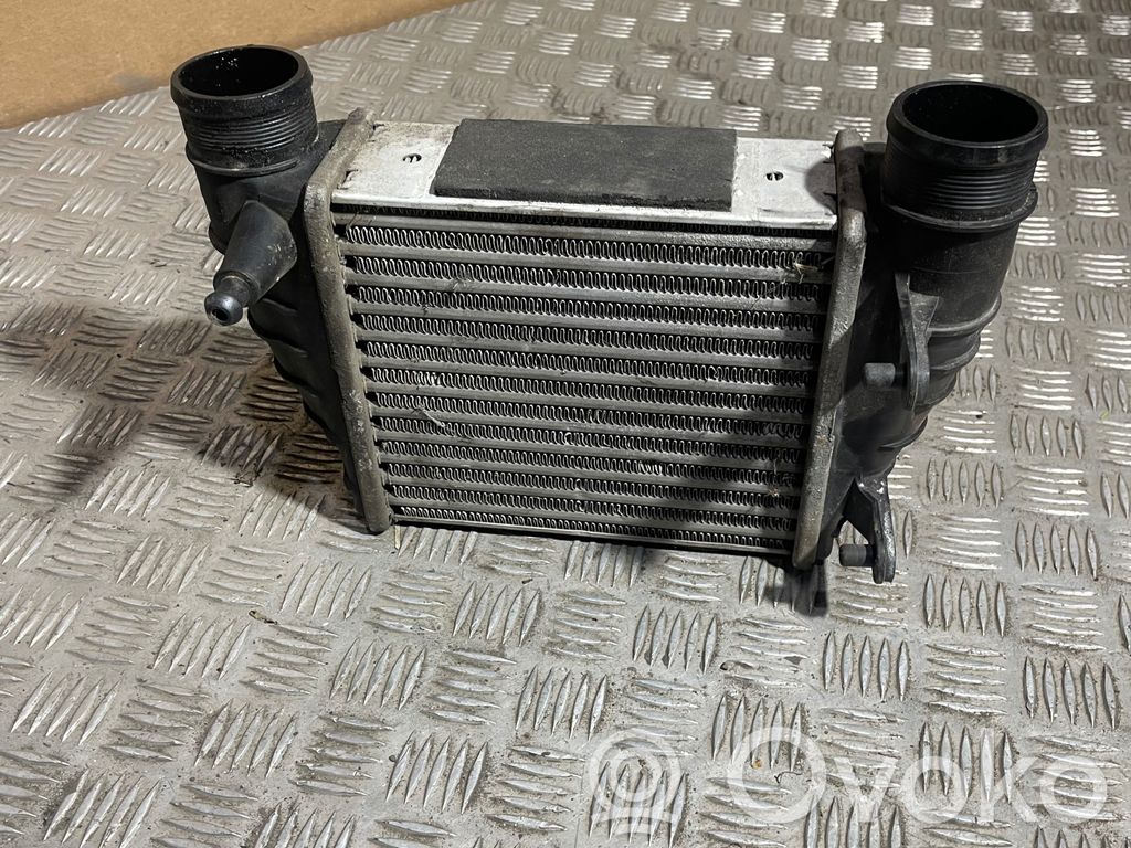Audi A4 S4 B7 8E 8H Interkūlerio radiatorius 