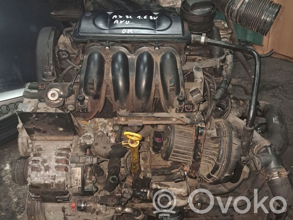 Engine   AVU