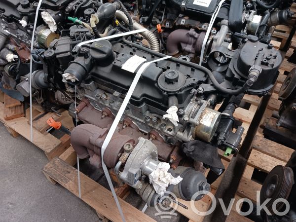 Motor   8HS