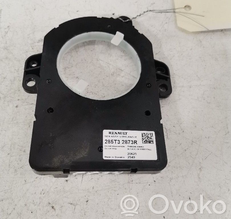 Steering angle sensor   285T32873R