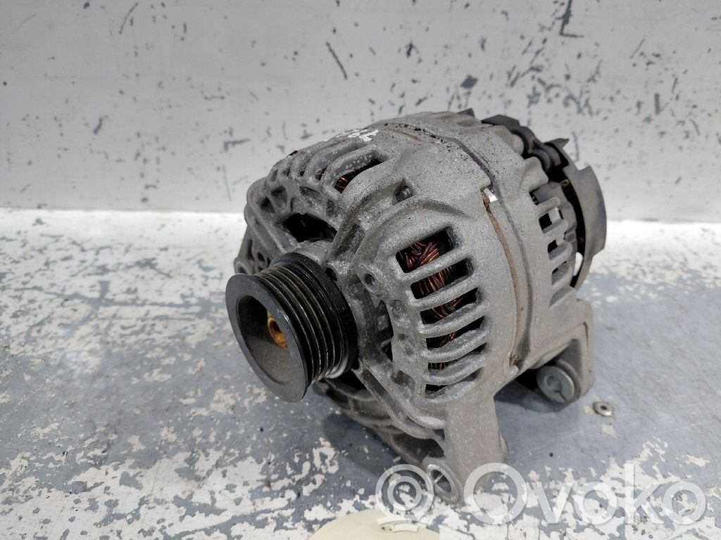 Lichtmaschine   13222931,0124425057