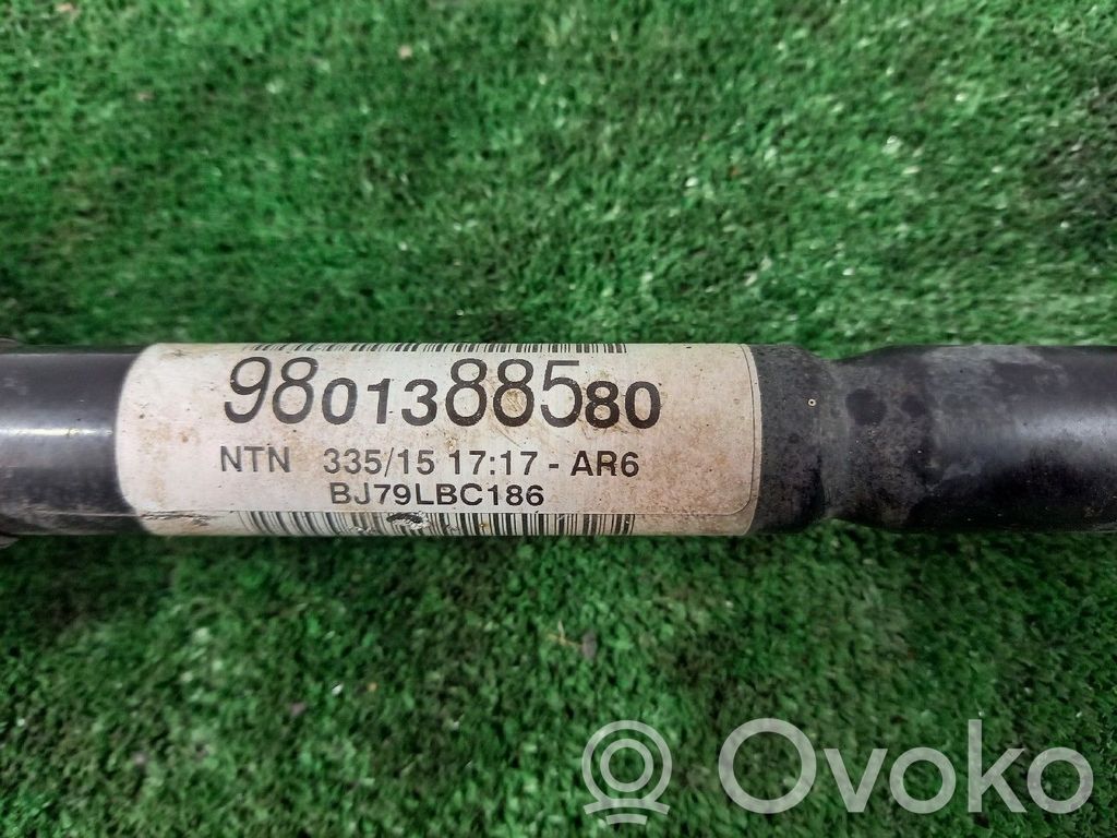 Priekinis pusašis   9801388580,BJ79LBC186