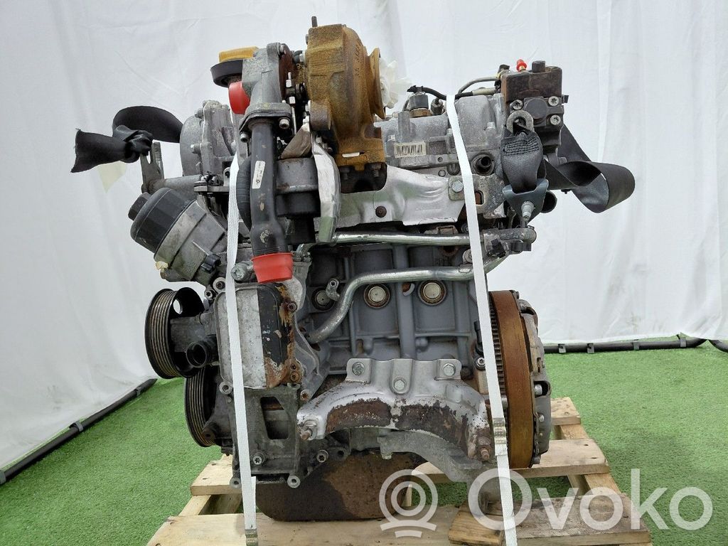Motor