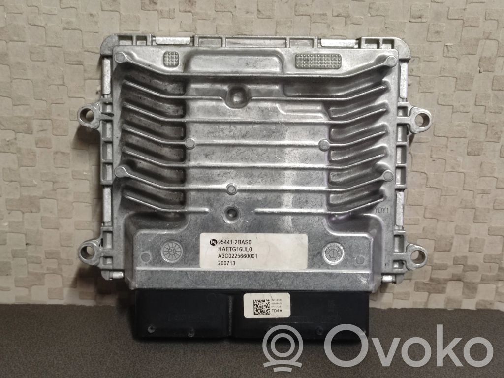 Hyundai Ioniq Engine control unit/module 
