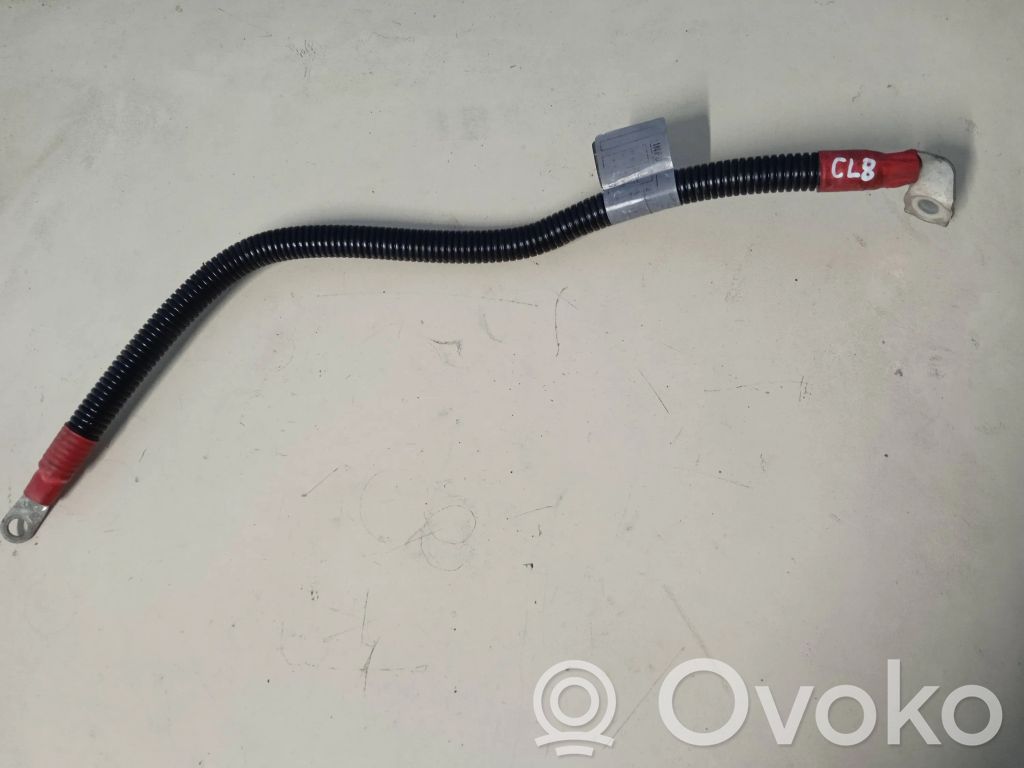 BMW X5 E70 Pliusinis laidas (akumuliatoriaus) 