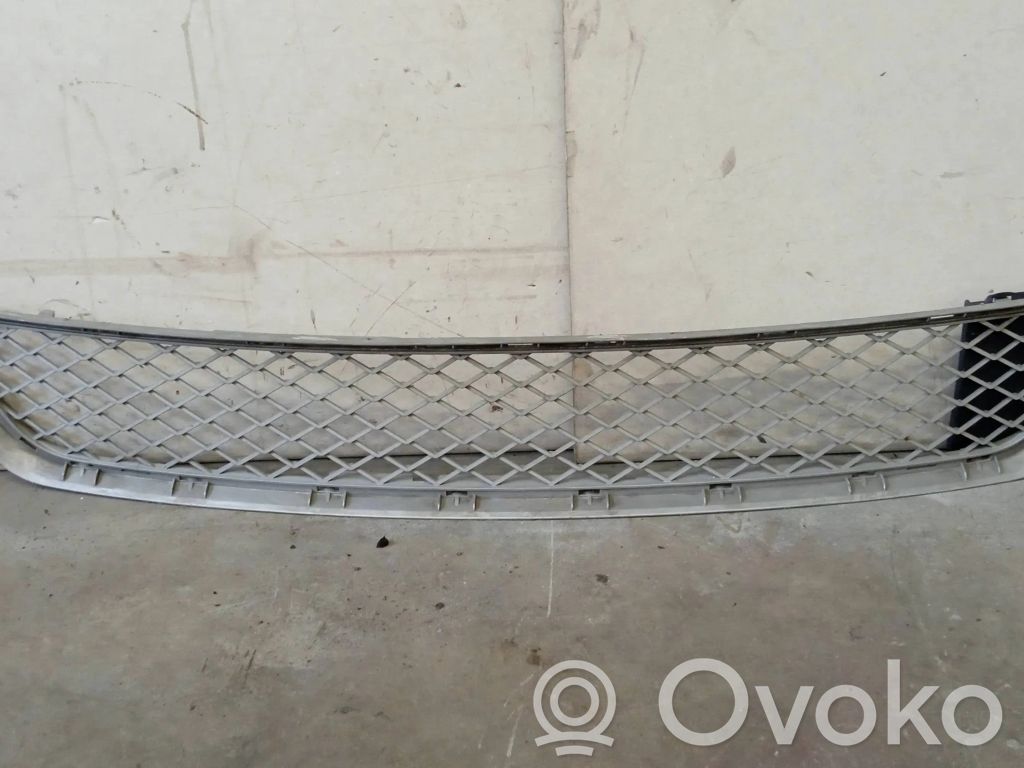 BMW X5 E70 Front bumper lower grill 