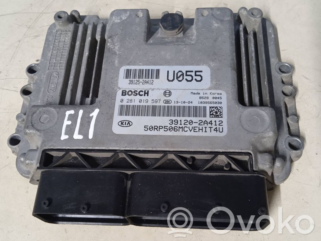 Engine control unit/module   391202A412