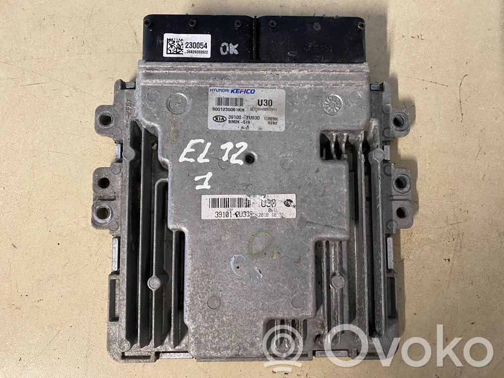 KIA Sportage Engine control unit/module 