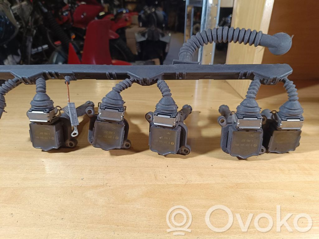 BMW 5 E39 Ignition plug leads 