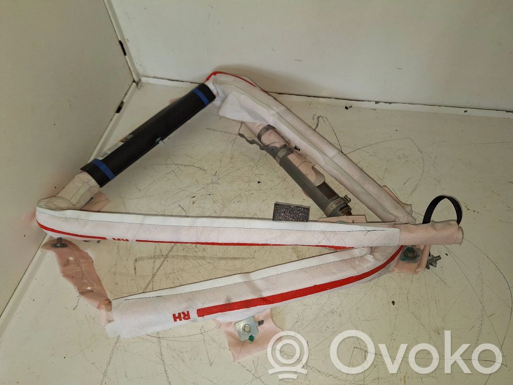 Tesla Model S Airbag del techo 