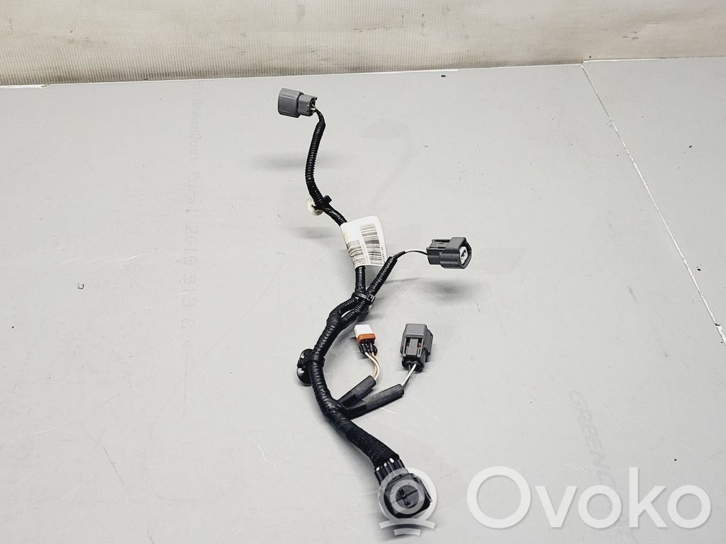 Renault Arkana Cables de los inyectores de combustible 