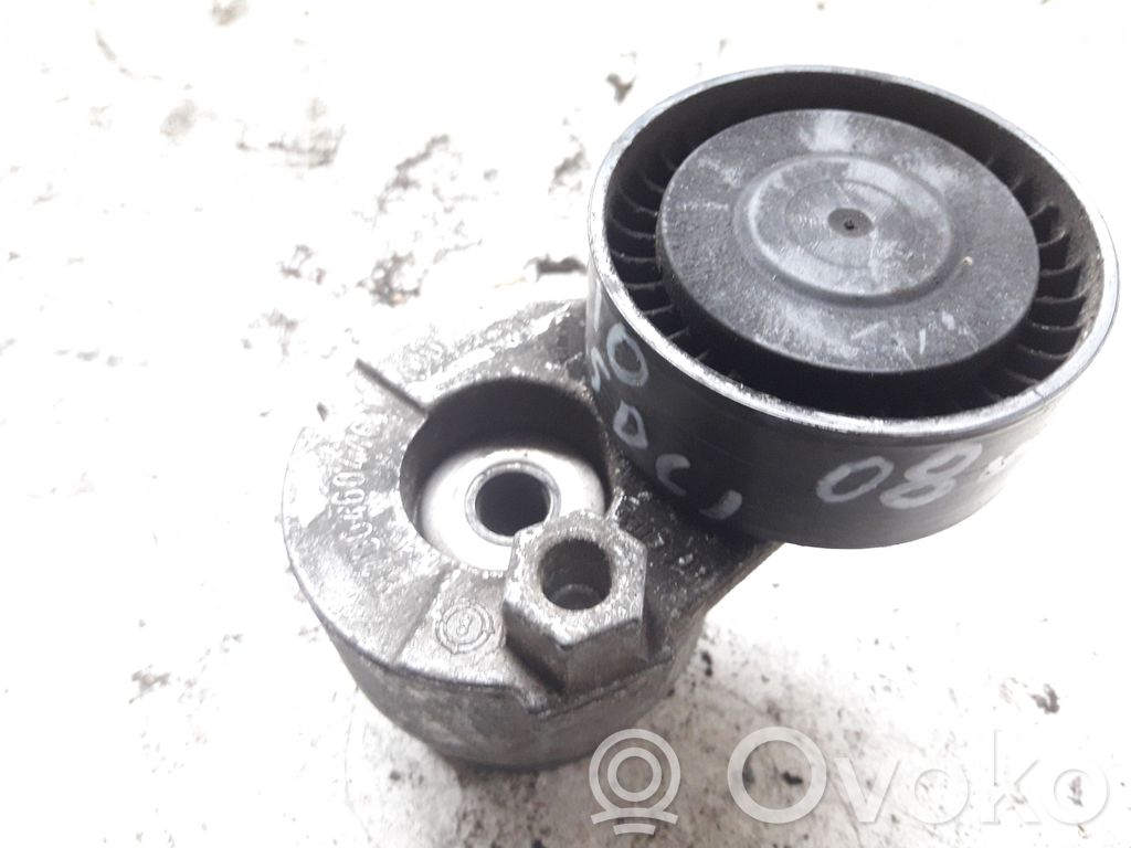 Renault Megane II Generator/alternator belt tensioner 