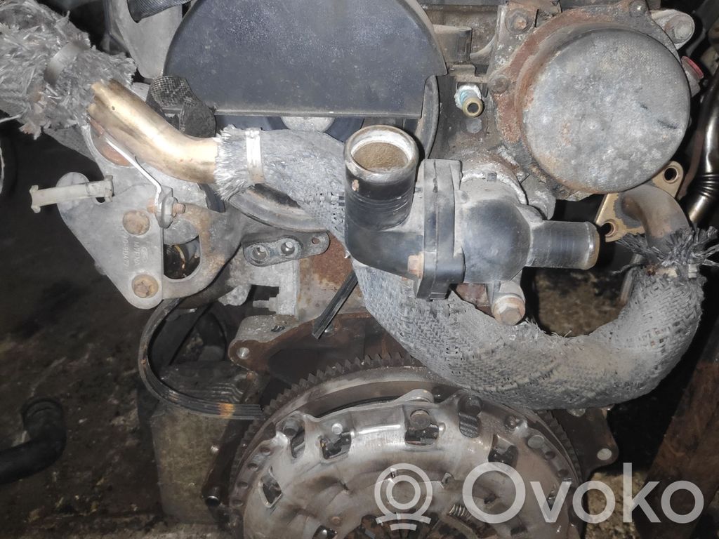 Ford Transit Variklis 