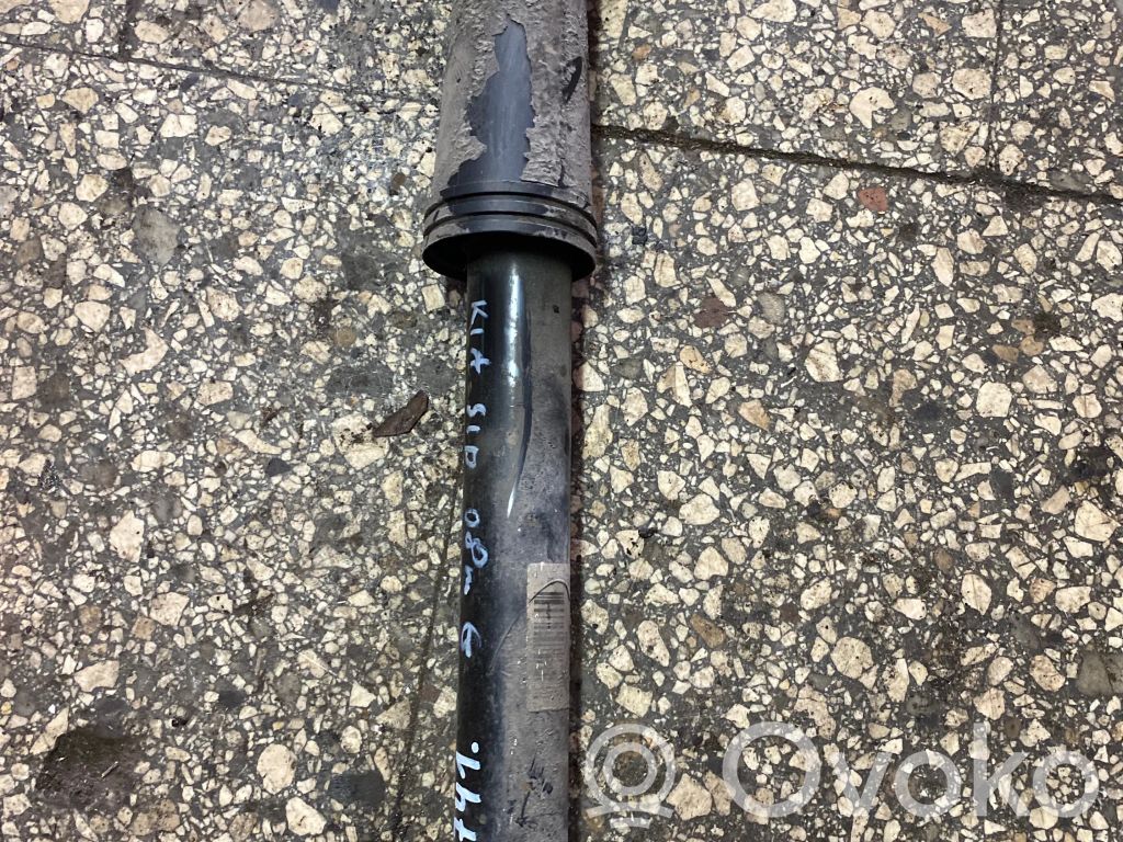 Rear shock absorber/damper