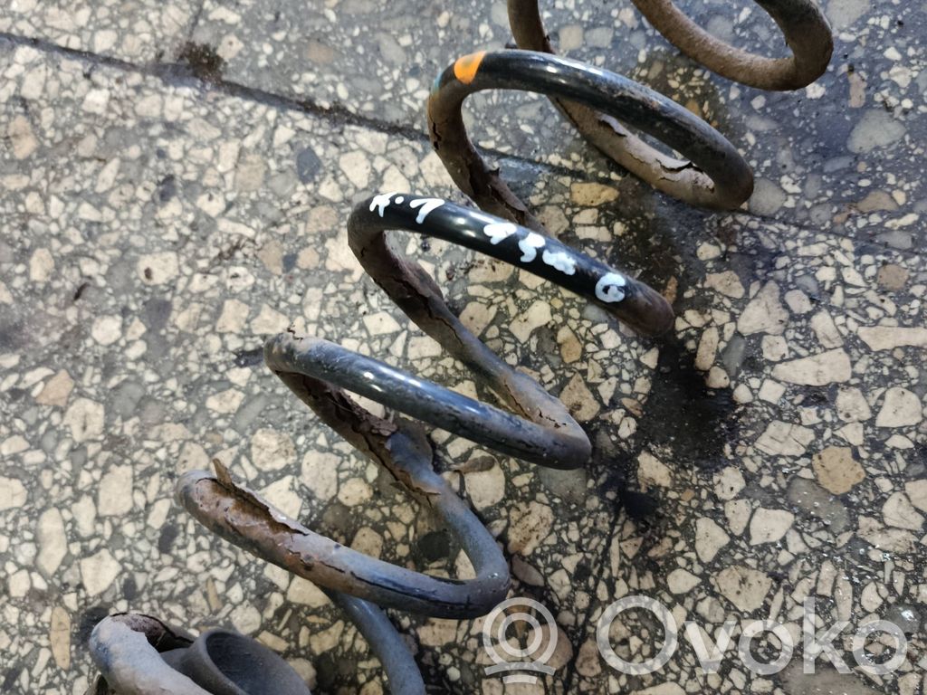 Rear coil spring