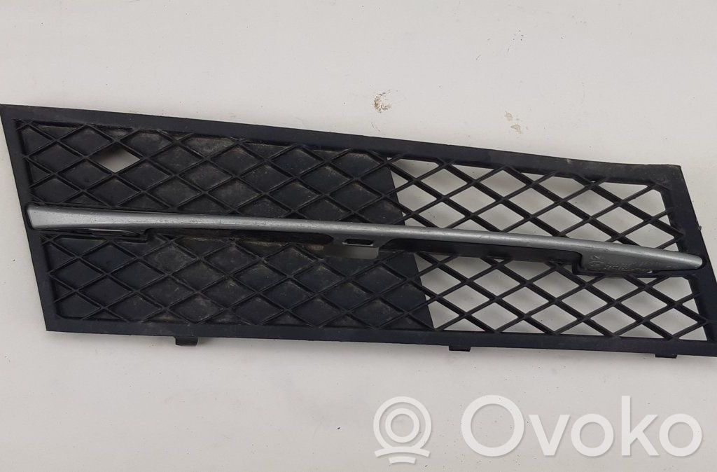 BMW 5 F10 F11 Front bumper lower grill 