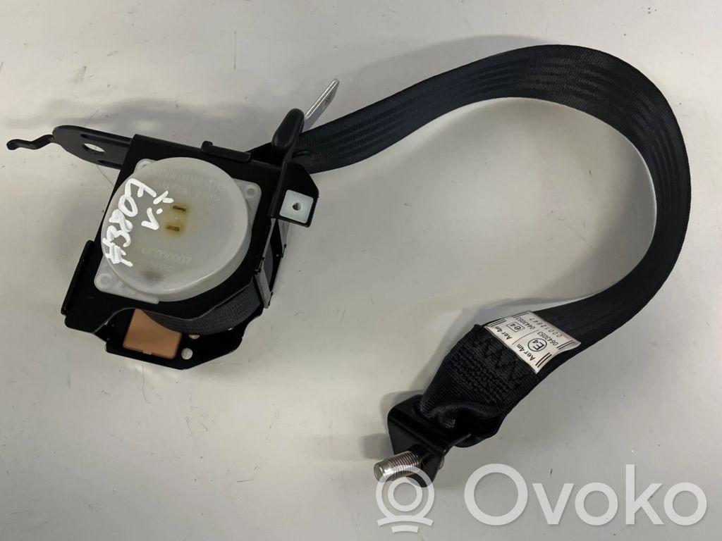 Cinturón trasero   BHS257L90A02,BHS257L90A02