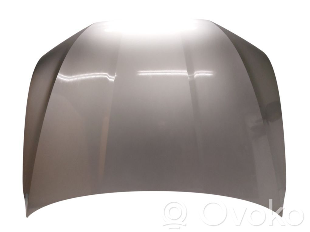 Audi e-tron Engine bonnet/hood 