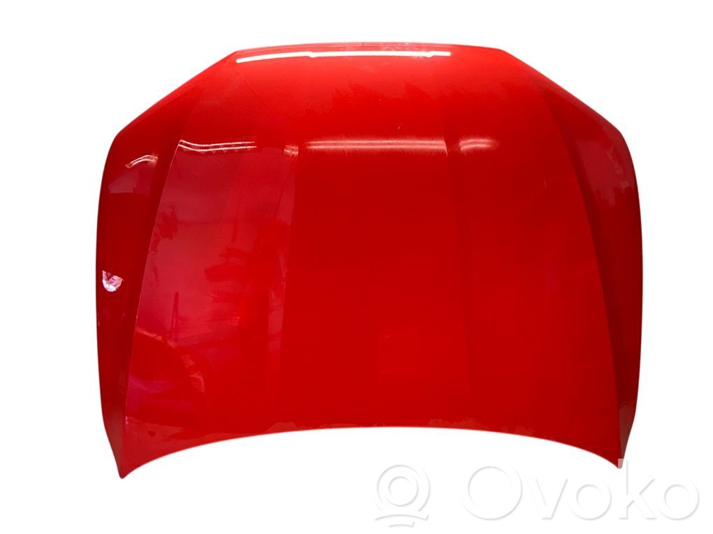 Audi e-tron Engine bonnet/hood 