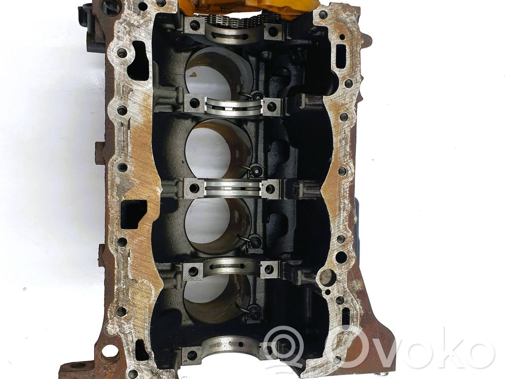 Skoda Octavia Mk2 (1Z) Blok silnika 